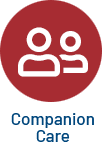 Companion Care in Florida by Star Multi Care Services